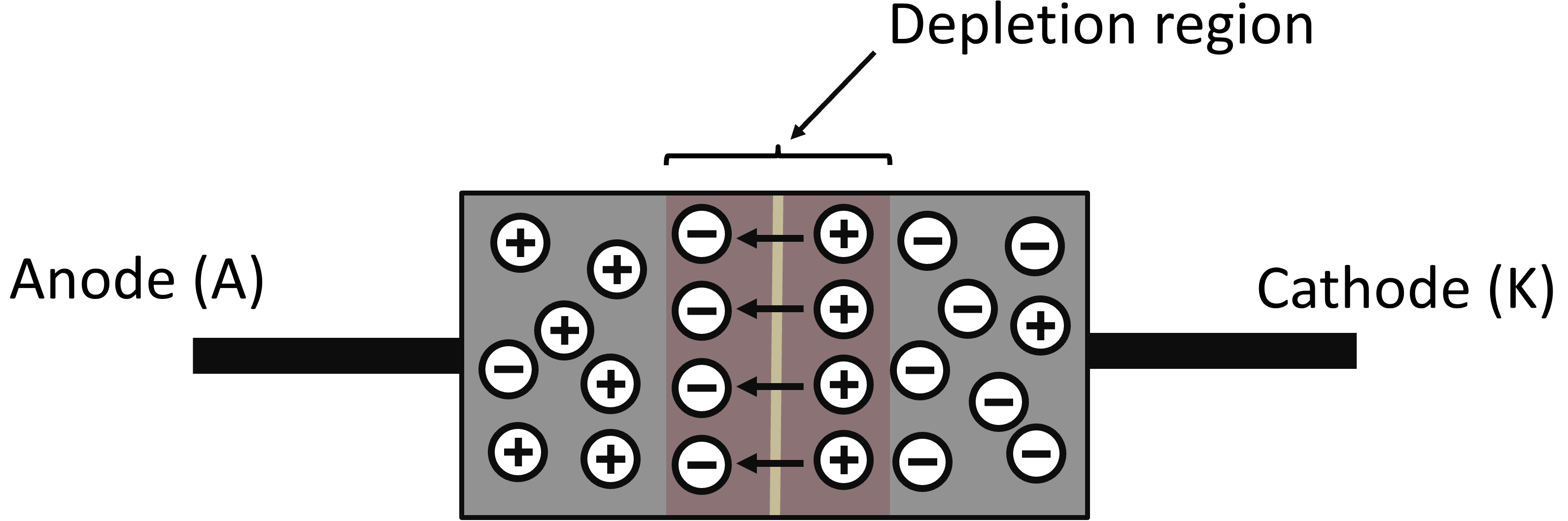 depletion region