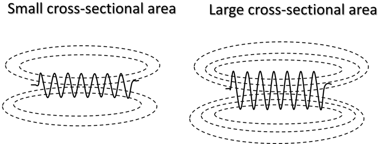 cross sectional area